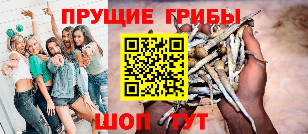 Псилоцибиновые грибы GOLDEN TEACHER  Псилоцибиновые грибы Psilocybe  Ржев  Вход с VPN 